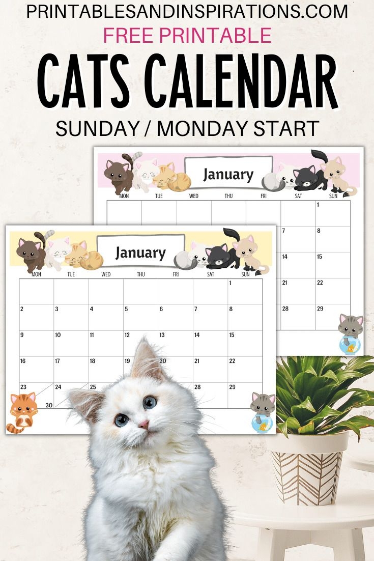 2024 Cute Cats Free Printable Monthly Calendar