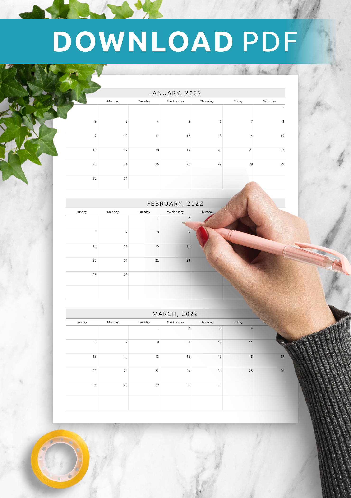 Calendar 2025 Quarterly Calendar Printable Worksheets Carol R Norris